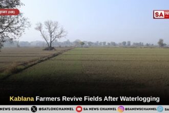 Kablana Farmers Revive Fields After Waterlogging
