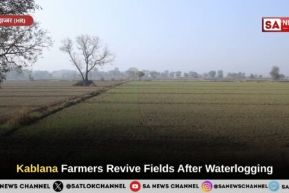 Kablana Farmers Revive Fields After Waterlogging