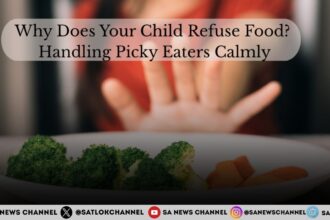 Why Does Your Child Refuse Food Handling Picky Eaters Calmly