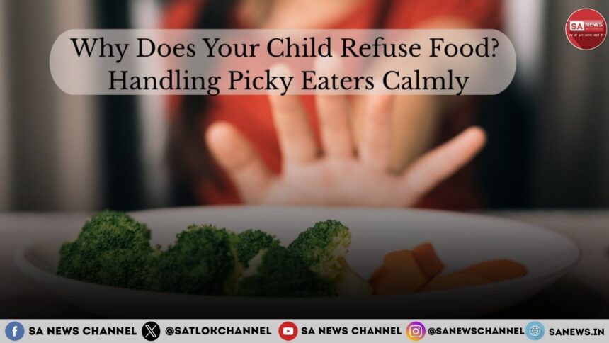 Why Does Your Child Refuse Food Handling Picky Eaters Calmly