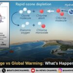 Climate Change vs Global Warming: What’s Happening to Earth?