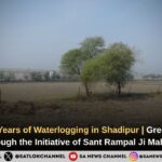 Solution to 5 Years of Waterlogging in Shadipur | Greenery Returns Through the Initiative of Sant Rampal Ji Maharaj