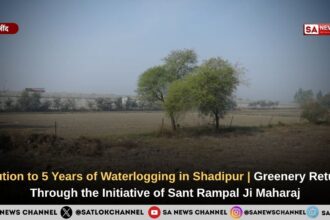 Solution to 5 Years of Waterlogging in Shadipur | Greenery Returns Through the Initiative of Sant Rampal Ji Maharaj
