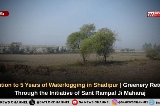 Solution to 5 Years of Waterlogging in Shadipur | Greenery Returns Through the Initiative of Sant Rampal Ji Maharaj