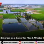 Sant Rampal Ji Emerges as a Savior for Flood-Affected Bupania Village