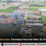 Sajjanpur Flood Crisis: Farmland Revived After 25 Years in Bhiwani