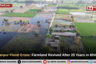 Sajjanpur Flood Crisis: Farmland Revived After 25 Years in Bhiwani