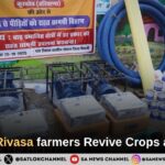 Flood-hit Rivasa farmers Revive Crops After Relief