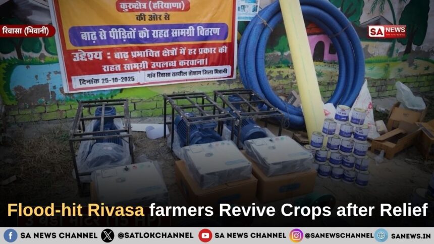 Flood-hit Rivasa farmers Revive Crops After Relief