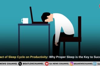 Impact of Sleep Cycle on Productivity: Why Proper Sleep is the Key to Success