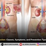 Urinary Tract Infection (UTI): Causes, Symptoms, and Prevention Tips for Better Health