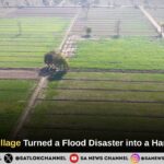 How Sorkhi Village Turned a Flood Disaster into a Harvest Success