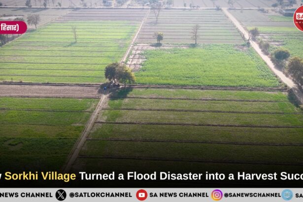 How Sorkhi Village Turned a Flood Disaster into a Harvest Success