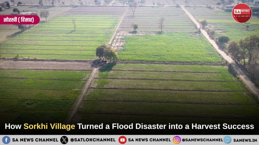 How Sorkhi Village Turned a Flood Disaster into a Harvest Success