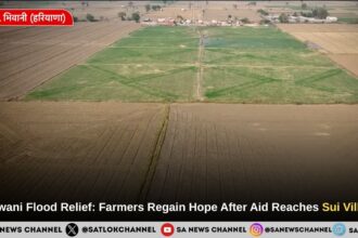 Bhiwani Flood Relief: Farmers Regain Hope After Aid Reaches Sui Village