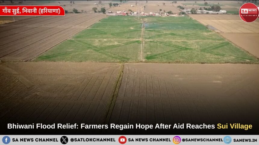 Bhiwani Flood Relief: Farmers Regain Hope After Aid Reaches Sui Village