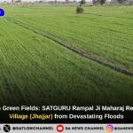 From Despair to Green Fields: SATGURU Rampal Ji Maharaj Rescues Birdhana Village (Jhajjar) from Devastating Floods