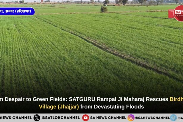 From Despair to Green Fields: SATGURU Rampal Ji Maharaj Rescues Birdhana Village (Jhajjar) from Devastating Floods