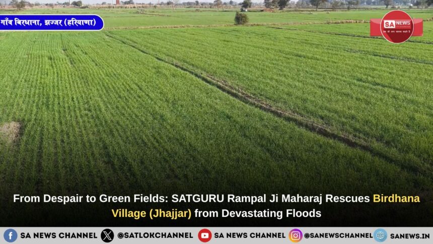 From Despair to Green Fields: SATGURU Rampal Ji Maharaj Rescues Birdhana Village (Jhajjar) from Devastating Floods