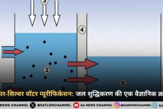 कॉपर-सिल्वर वॉटर प्यूरीफिकेशन: जल शुद्धिकरण की एक वैज्ञानिक क्रांति