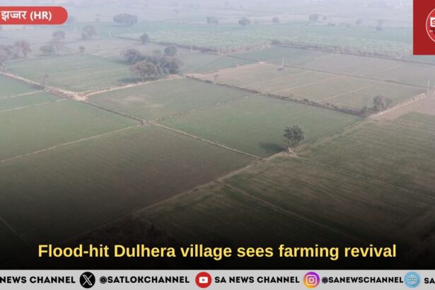 Flood-hit Dulhera village sees farming revival
