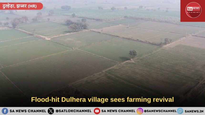 Flood-hit Dulhera village sees farming revival