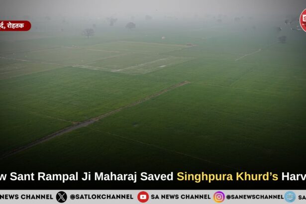 How Sant Rampal Ji Maharaj Saved Singhpura Khurd’s Harvest