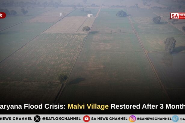 Haryana Flood Crisis: Malvi Village Restored After 3 Months