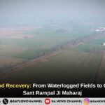 Loharhedi Flood Recovery: From Waterlogged Fields to Green Revival | Sant Rampal Ji Maharaj