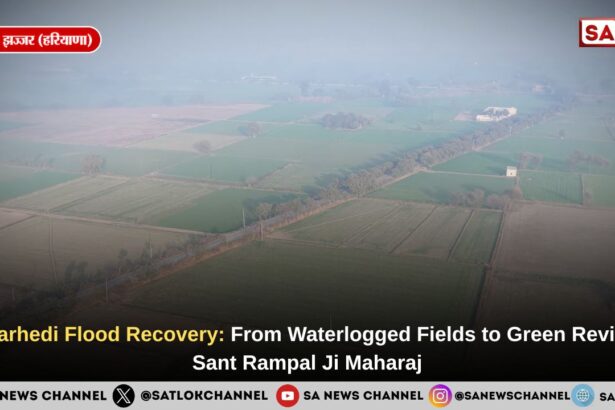 Loharhedi Flood Recovery: From Waterlogged Fields to Green Revival | Sant Rampal Ji Maharaj