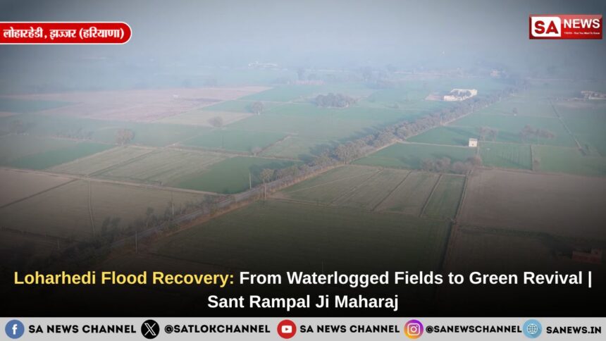 Loharhedi Flood Recovery: From Waterlogged Fields to Green Revival | Sant Rampal Ji Maharaj