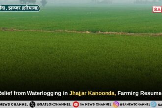 Relief from Waterlogging in Jhajjar Kanoonda village, Farming Resumes