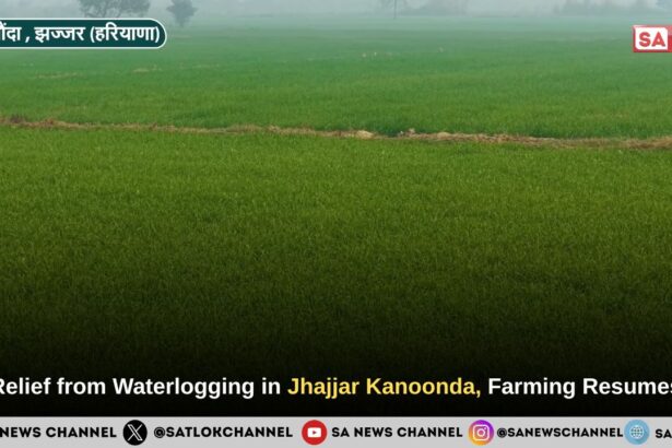 Relief from Waterlogging in Jhajjar Kanoonda village, Farming Resumes