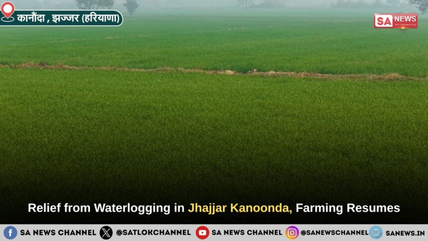 Relief from Waterlogging in Jhajjar Kanoonda village, Farming Resumes