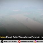 Lowa Kalan Flood Relief Transforms Fields in Haryana