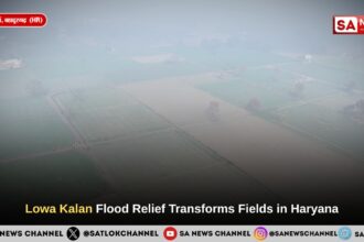 Lowa Kalan Flood Relief Transforms Fields in Haryana