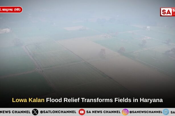 Lowa Kalan Flood Relief Transforms Fields in Haryana