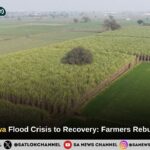Gangadwa village Flood Crisis to Recovery: Farmers Rebuild Lives