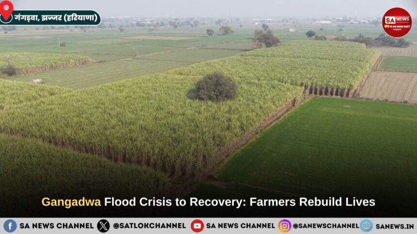Gangadwa village Flood Crisis to Recovery: Farmers Rebuild Lives