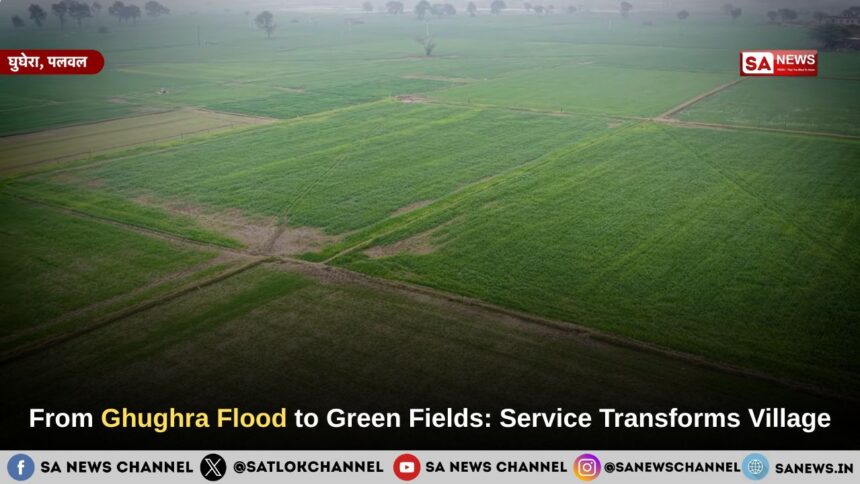 From Ghughra Flood to Green Fields: Service Transforms Village