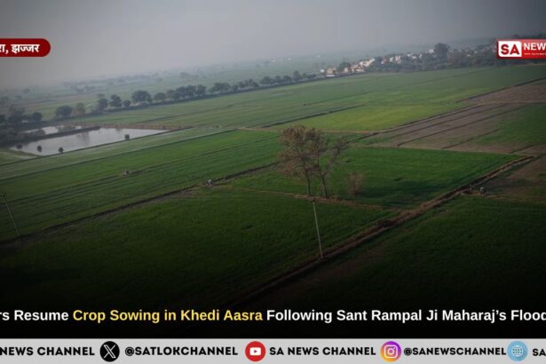 Farmers Resume Crop Sowing in Khedi Aasra Following Sant Rampal Ji Maharaj’s Flood Relief