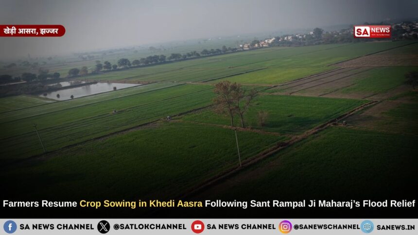 Farmers Resume Crop Sowing in Khedi Aasra Following Sant Rampal Ji Maharaj’s Flood Relief