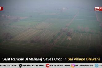 Sant Rampal Ji Maharaj Saves Crop in Sai Village Bhiwani