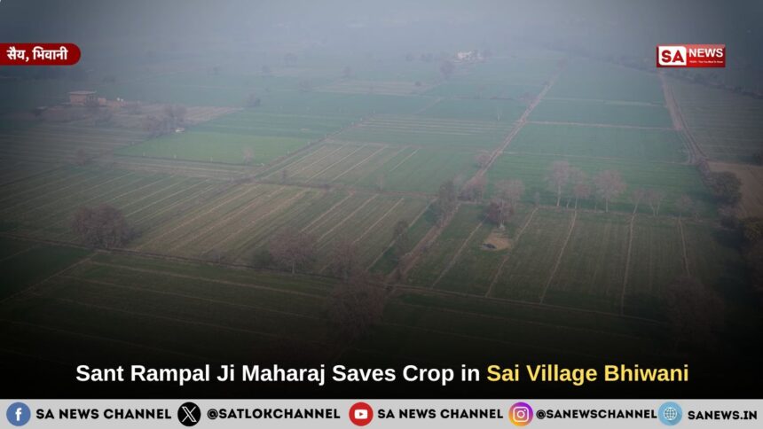 Sant Rampal Ji Maharaj Saves Crop in Sai Village Bhiwani