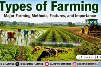 Types of Farming Major Farming Methods, Features, and Importance
