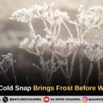 UK Spring Weather Forecast Arctic Cold Snap Brings Frost Before Temperatures Rebound