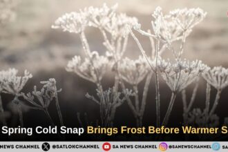 UK Spring Weather Forecast Arctic Cold Snap Brings Frost Before Temperatures Rebound
