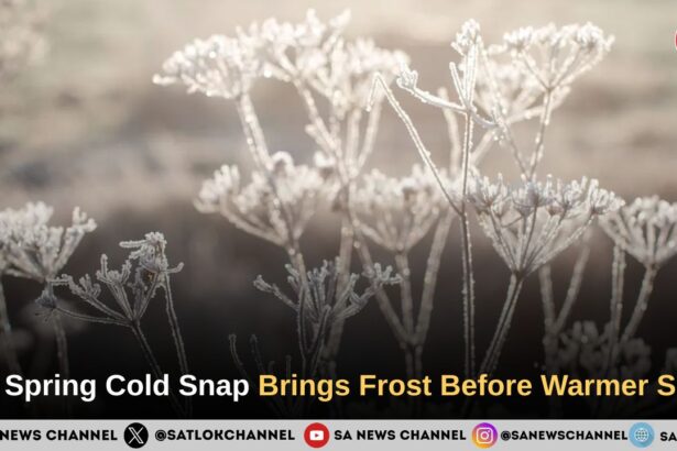 UK Spring Weather Forecast Arctic Cold Snap Brings Frost Before Temperatures Rebound