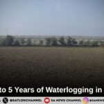 Greenery Returns to Shadipur Through the Initiative of Sant Rampal Ji Maharaj