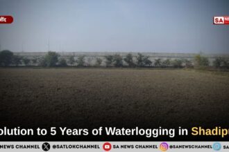 Greenery Returns to Shadipur Through the Initiative of Sant Rampal Ji Maharaj